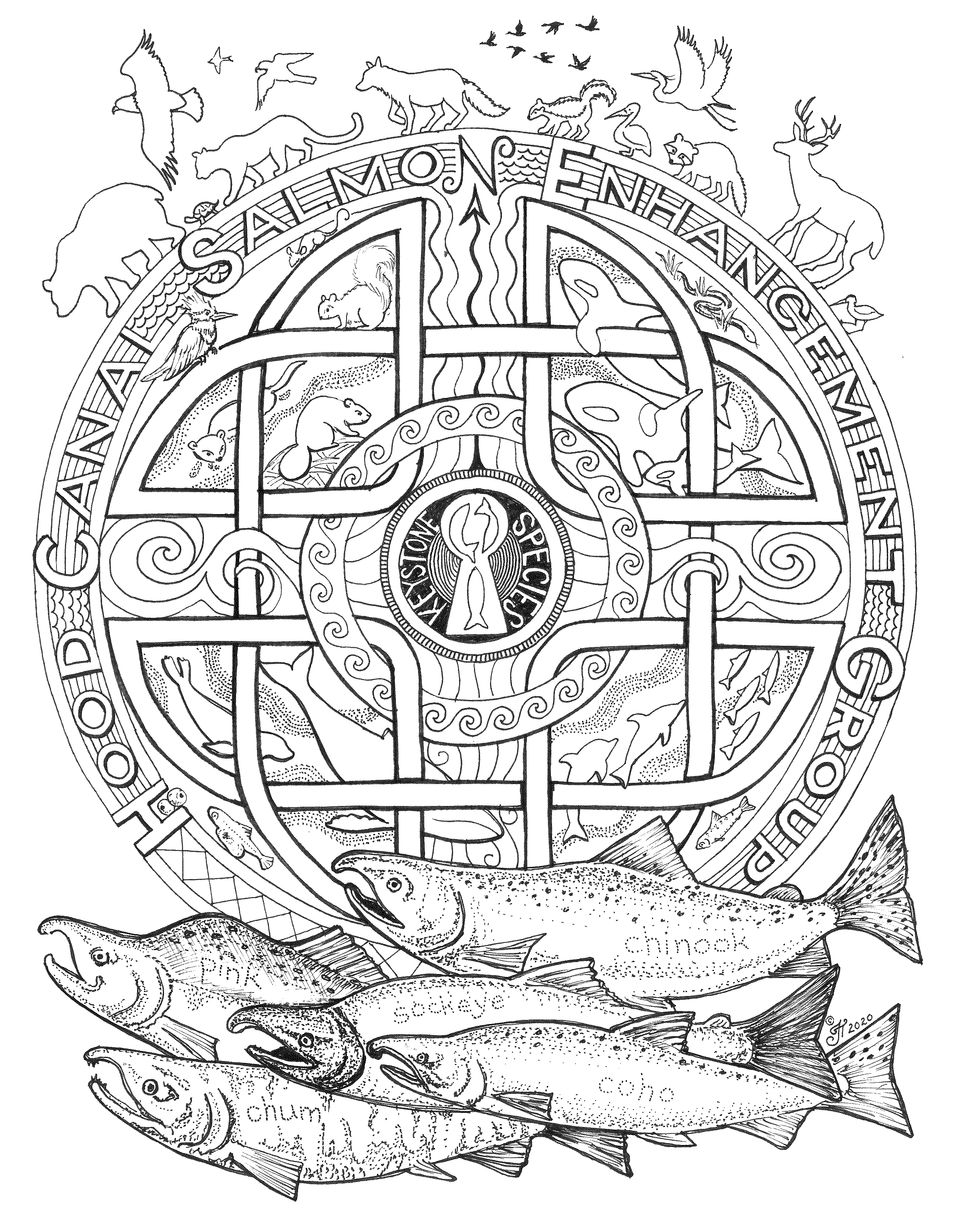 Salmon keystone species coloring pages