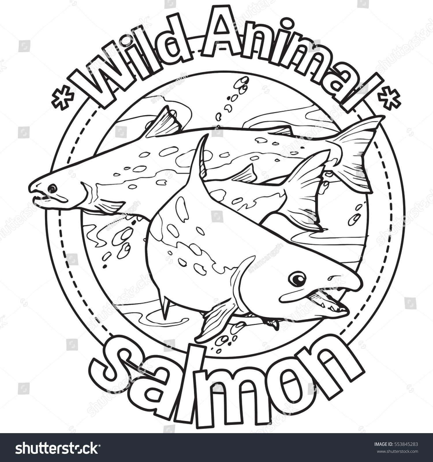 Animal salmon coloring book stock vector royalty free