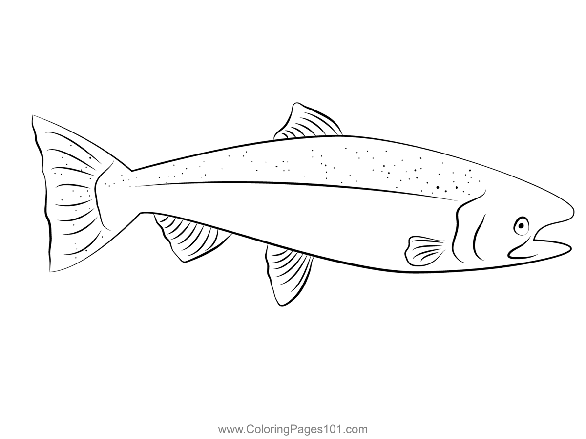 Alaskan king salmon coloring page for kids