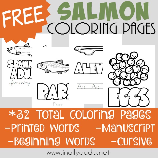 Salmon life cycle coloring pages â in all you do