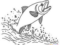 Salmon coloring pages ideas coloring pages salmon color