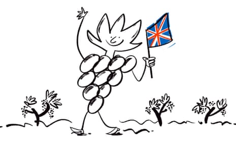 Will british wine ever be cheap we ask an expert wine the guardian