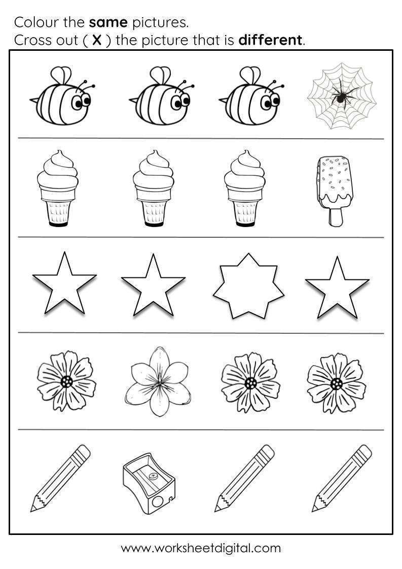 Same and different worksheet