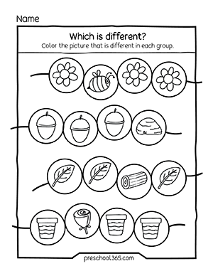 Same or different preschool matching activity sheets