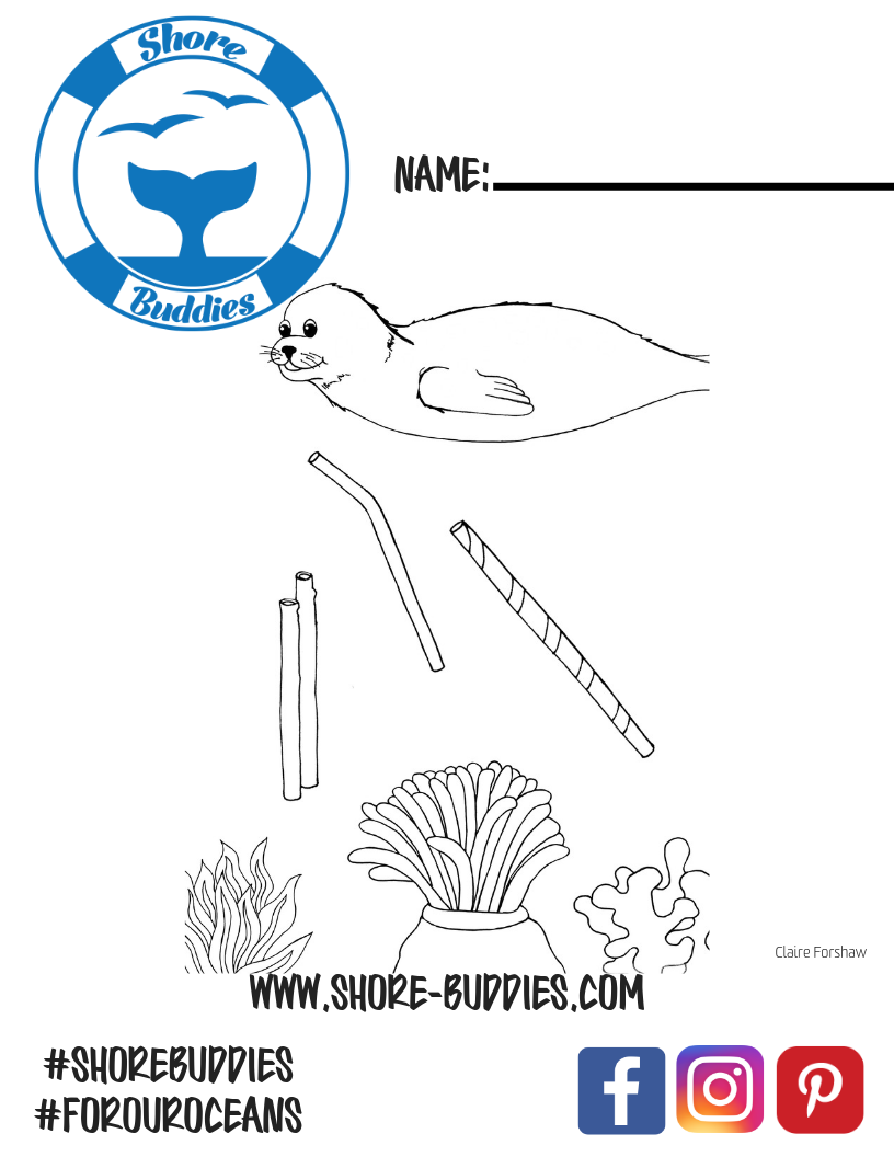 Sammy the seal coloring page â shore buddies