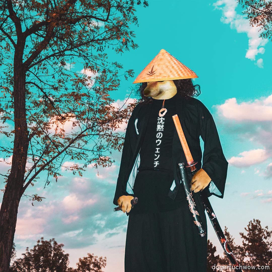 Download Free 100 Samurai Doge Wallpapers