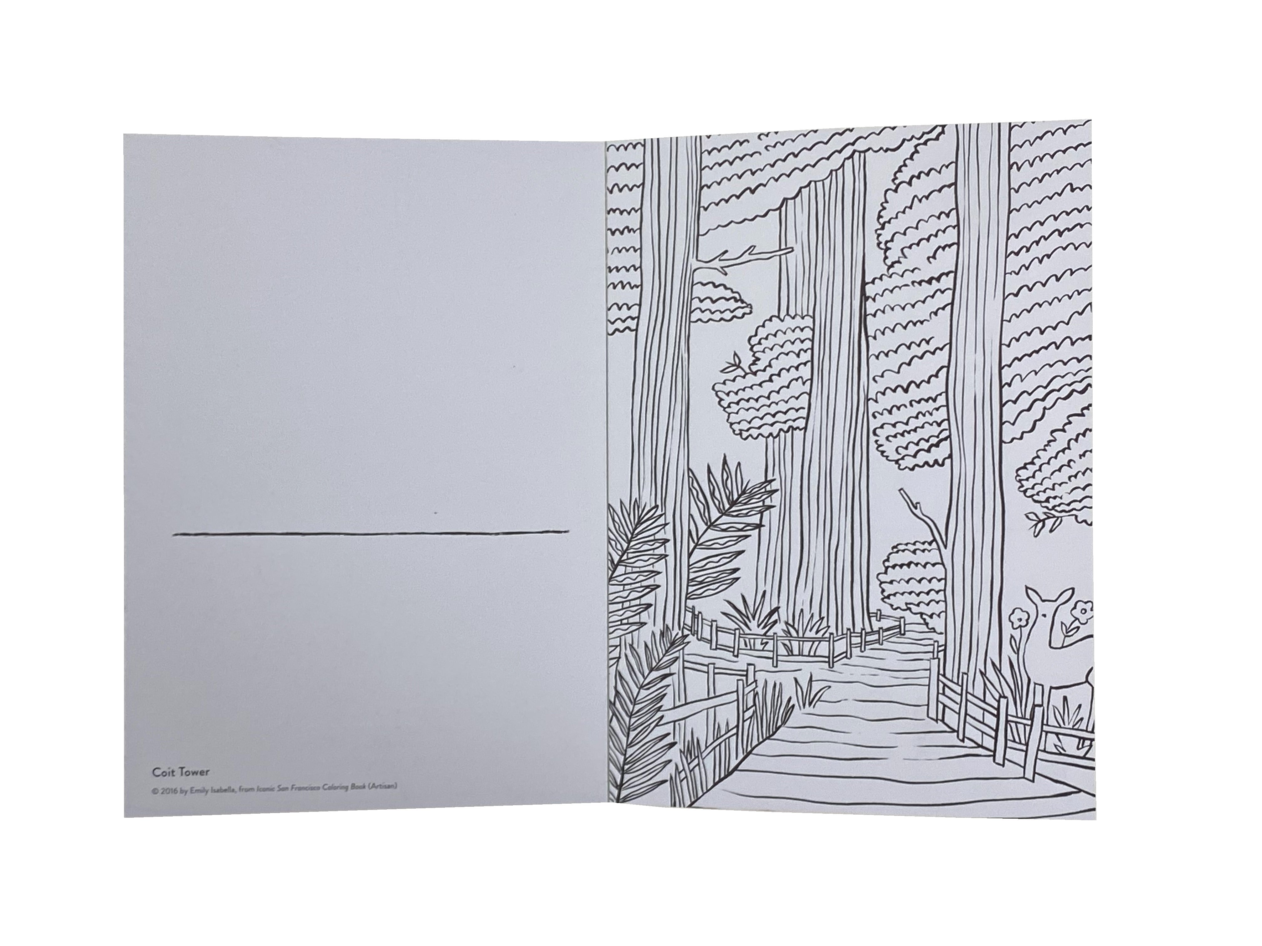 Iconic san francisco coloring book â bird in hand