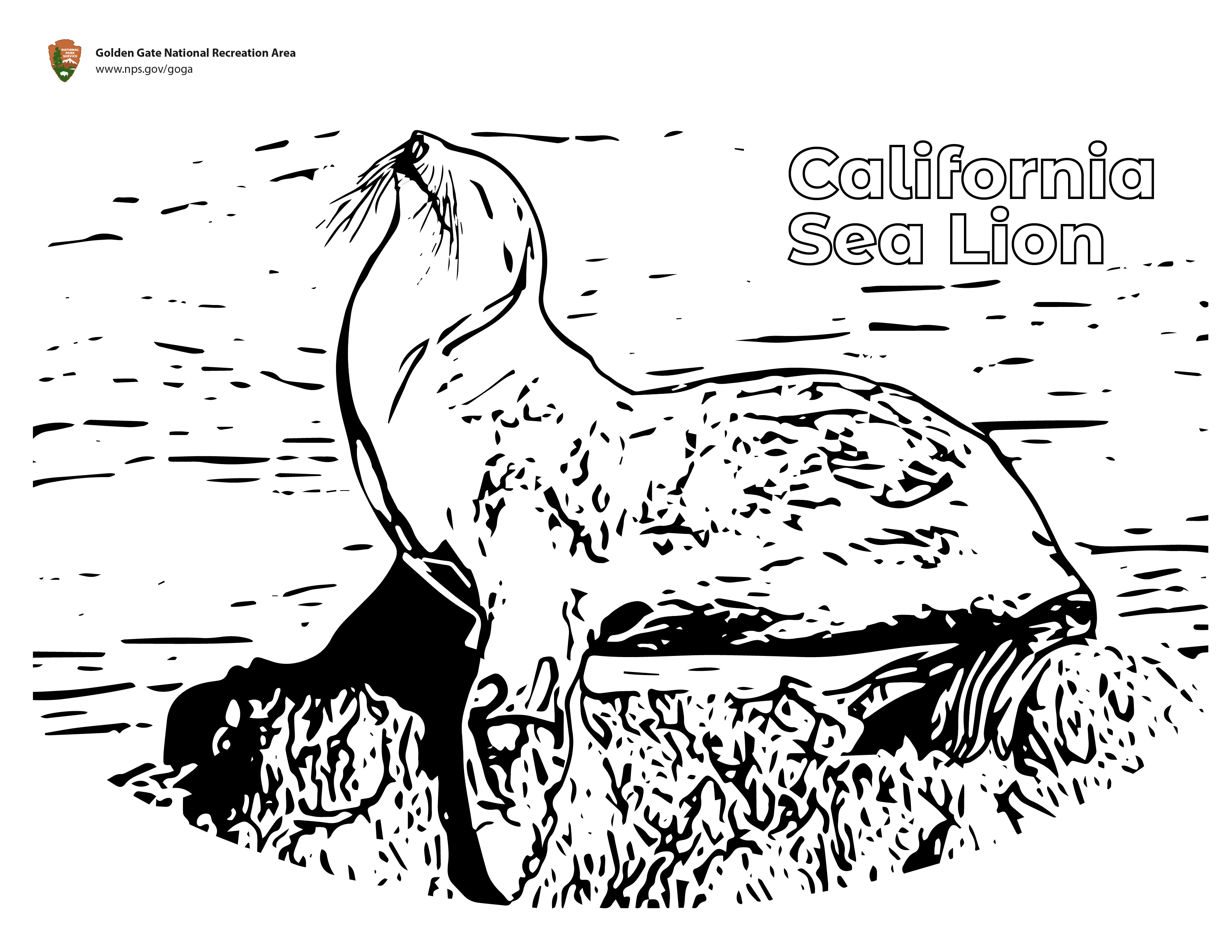 Coloring pages golden gate us national park service