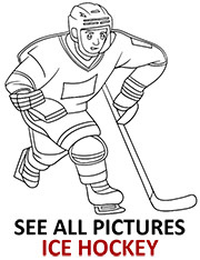 San jose sharks crest coloring page