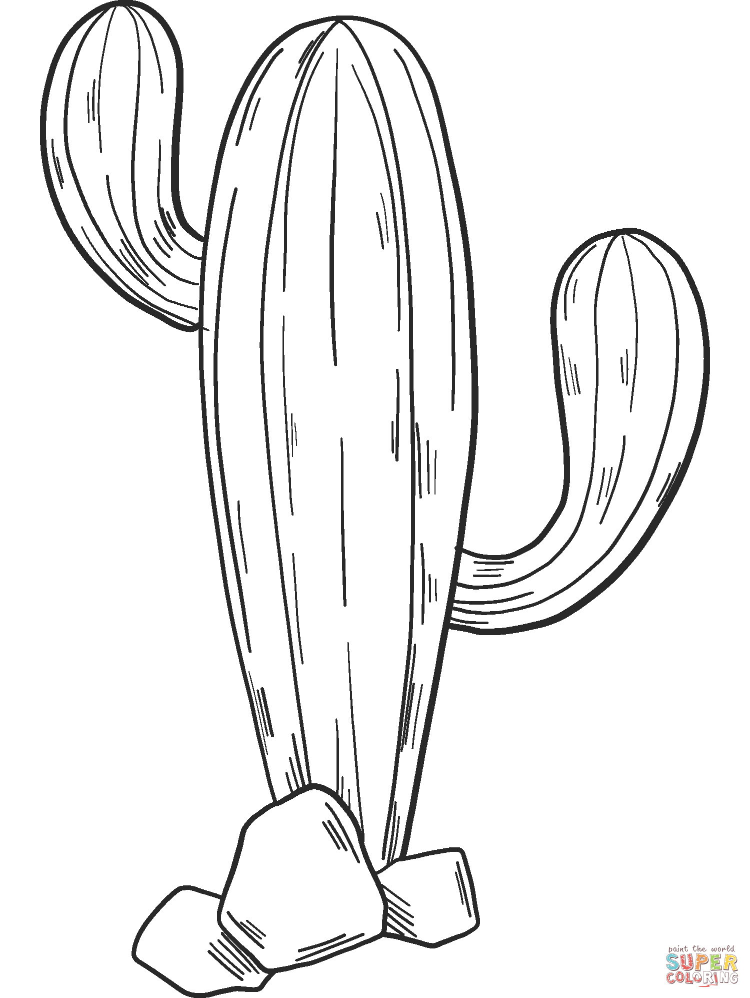 Cactus coloring pages