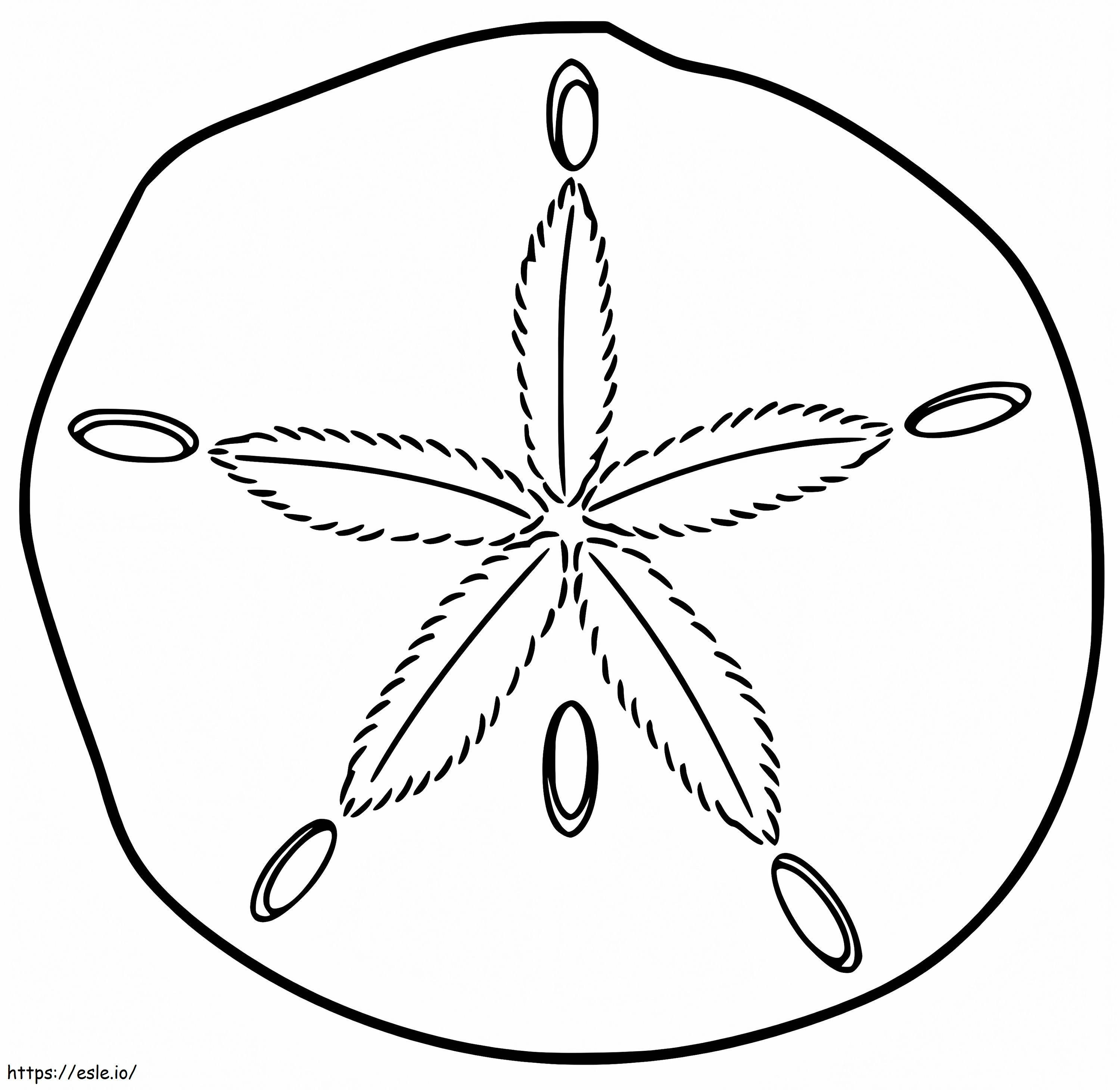 Sand dollar coloring page