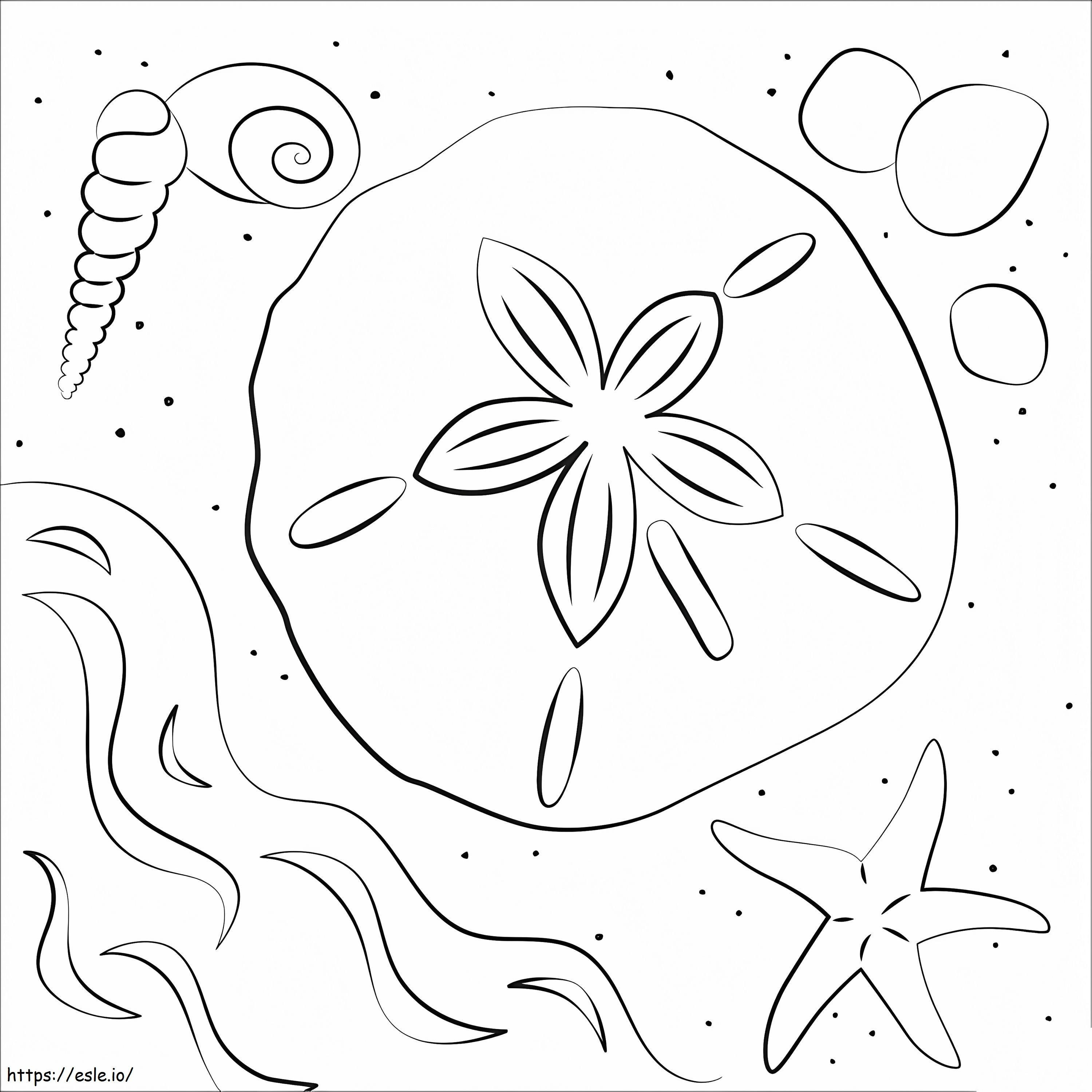 Sand dollar on the beach coloring page