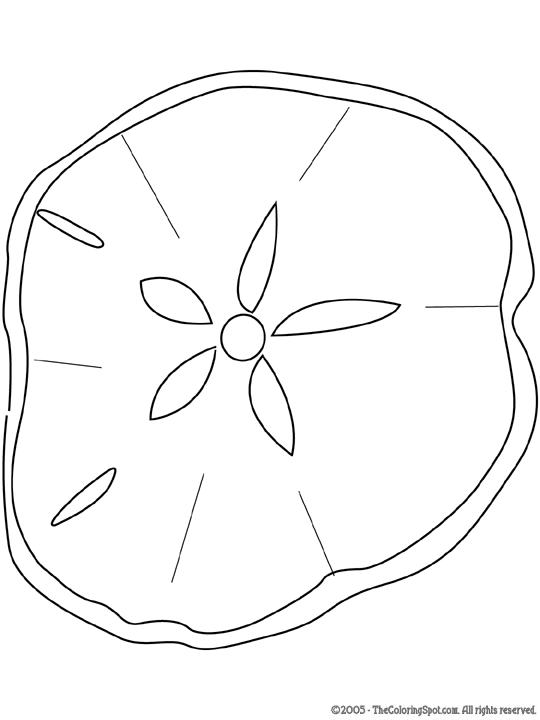 Sand dollar coloring page audio stories for kids free coloring pages colouring printables