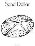 Sand dollar coloring page