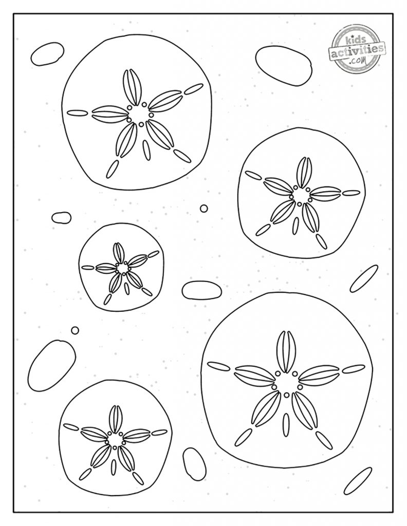 Best ocean printable sand dollar coloring pages kids activities blog