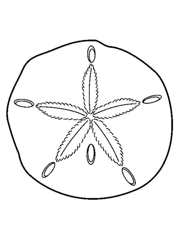 Sand dollar coloring pages