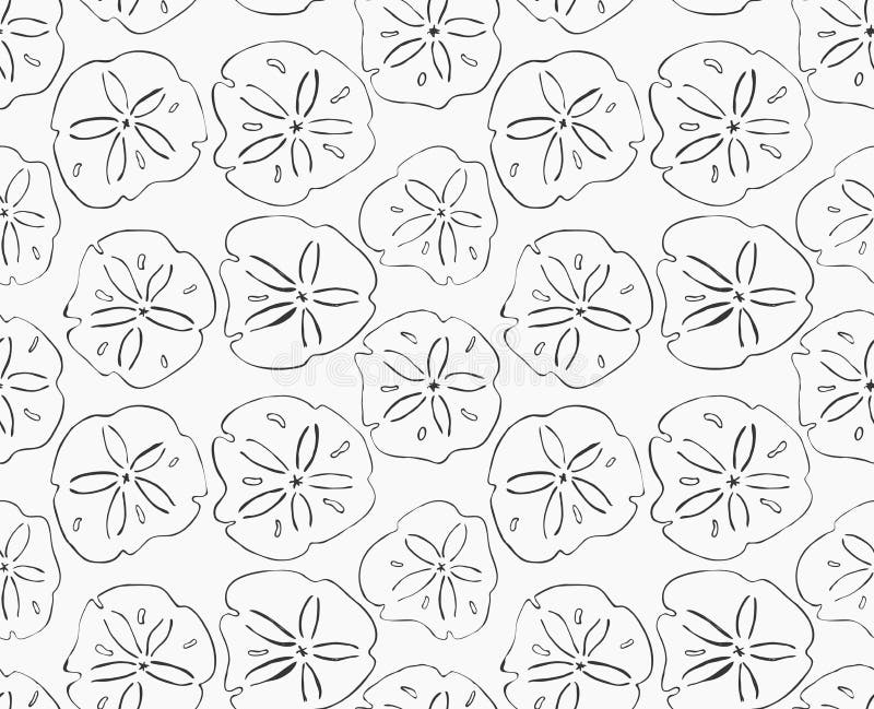 Sand dollar stock illustrations â sand dollar stock illustrations vectors clipart