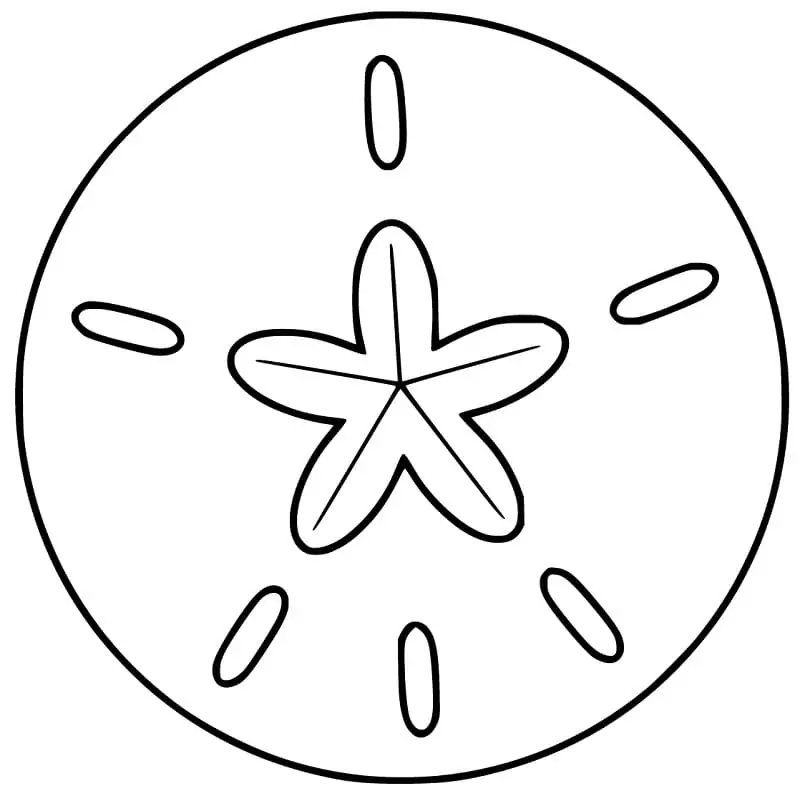 Normal sand dollar coloring page