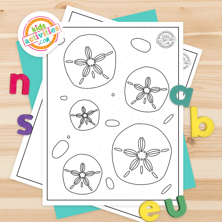 Best ocean printable sand dollar coloring pages kids activities blog