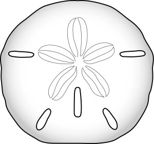 Sand dollar â