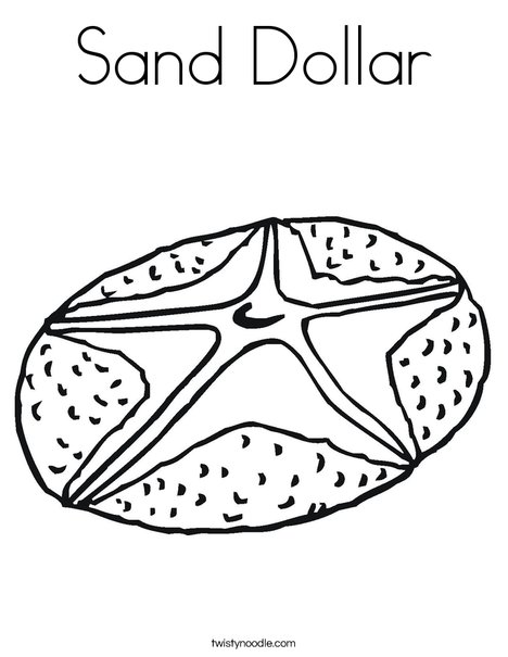 Sand dollar coloring page