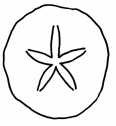 Sand dollar coloring page