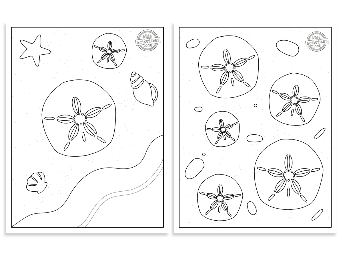 Best ocean printable sand dollar coloring pages kids activities blog