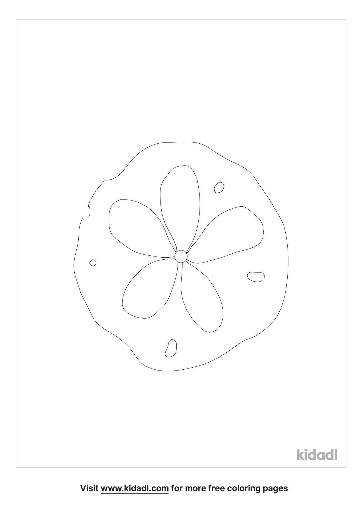 Free sand dollar coloring page coloring page printables