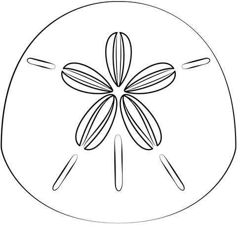 Sand dollar coloring page free printable coloring pages