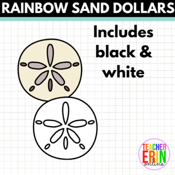 Rainbow sand dollars clipart summer beach shells by erin colleen design