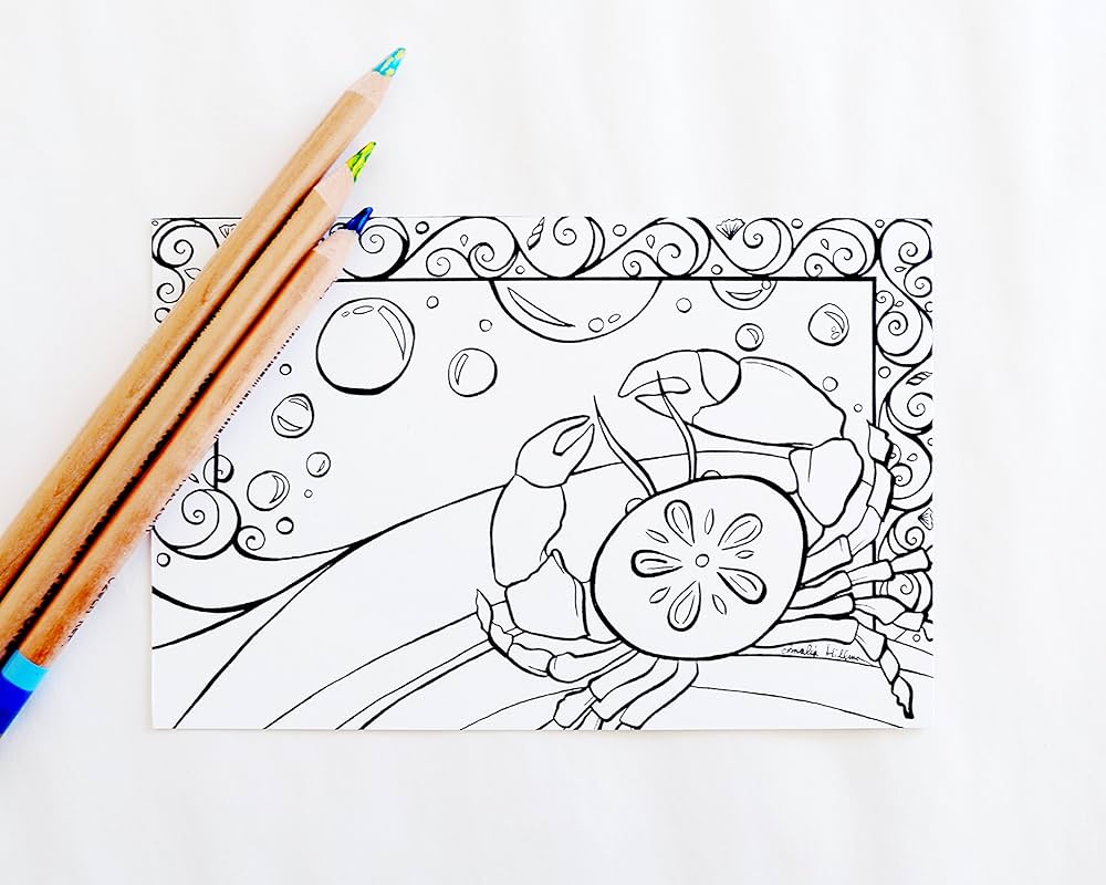 Black and white sand dollar crab coloring book postcards