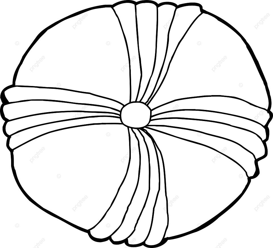 Echinoderm fossil outline shape sand dollar fossil photo background and picture for free download