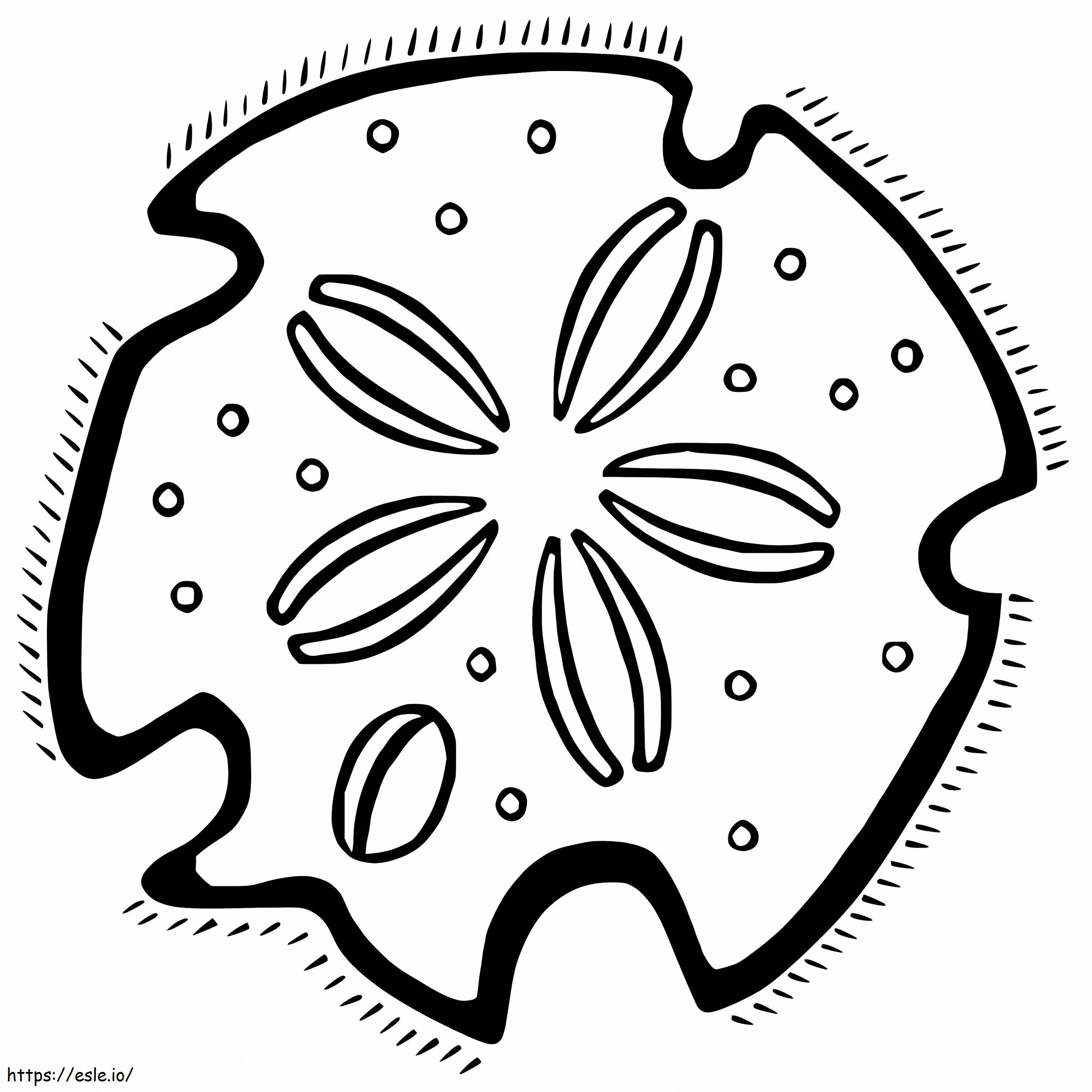 Sand dollar coloring page