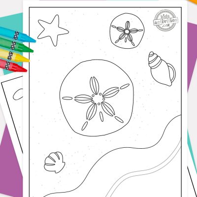 Best ocean printable sand dollar coloring pages kids activities blog