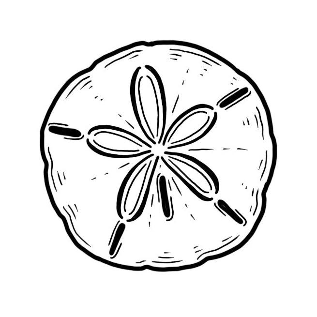 Sand dollar â lizzy dalton tattoo