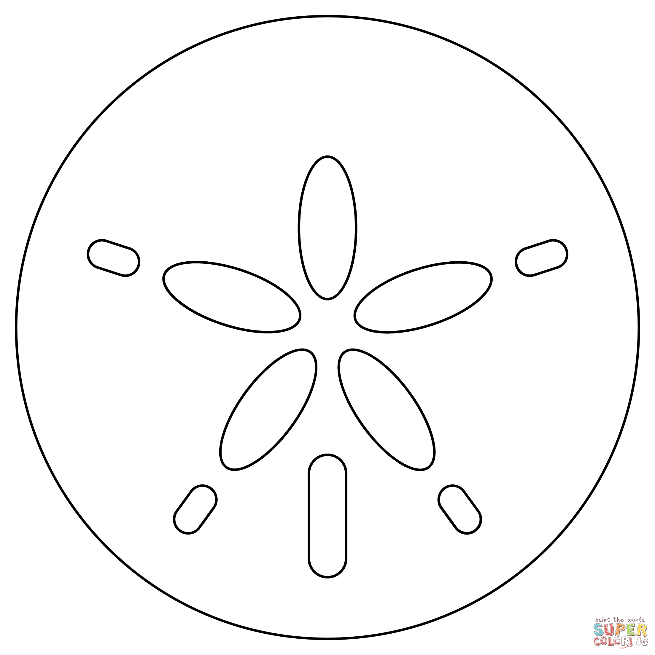 Sand dollar coloring page free printable coloring pages