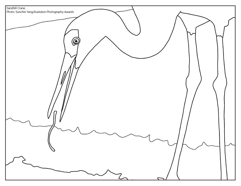 Coloring pages great plains