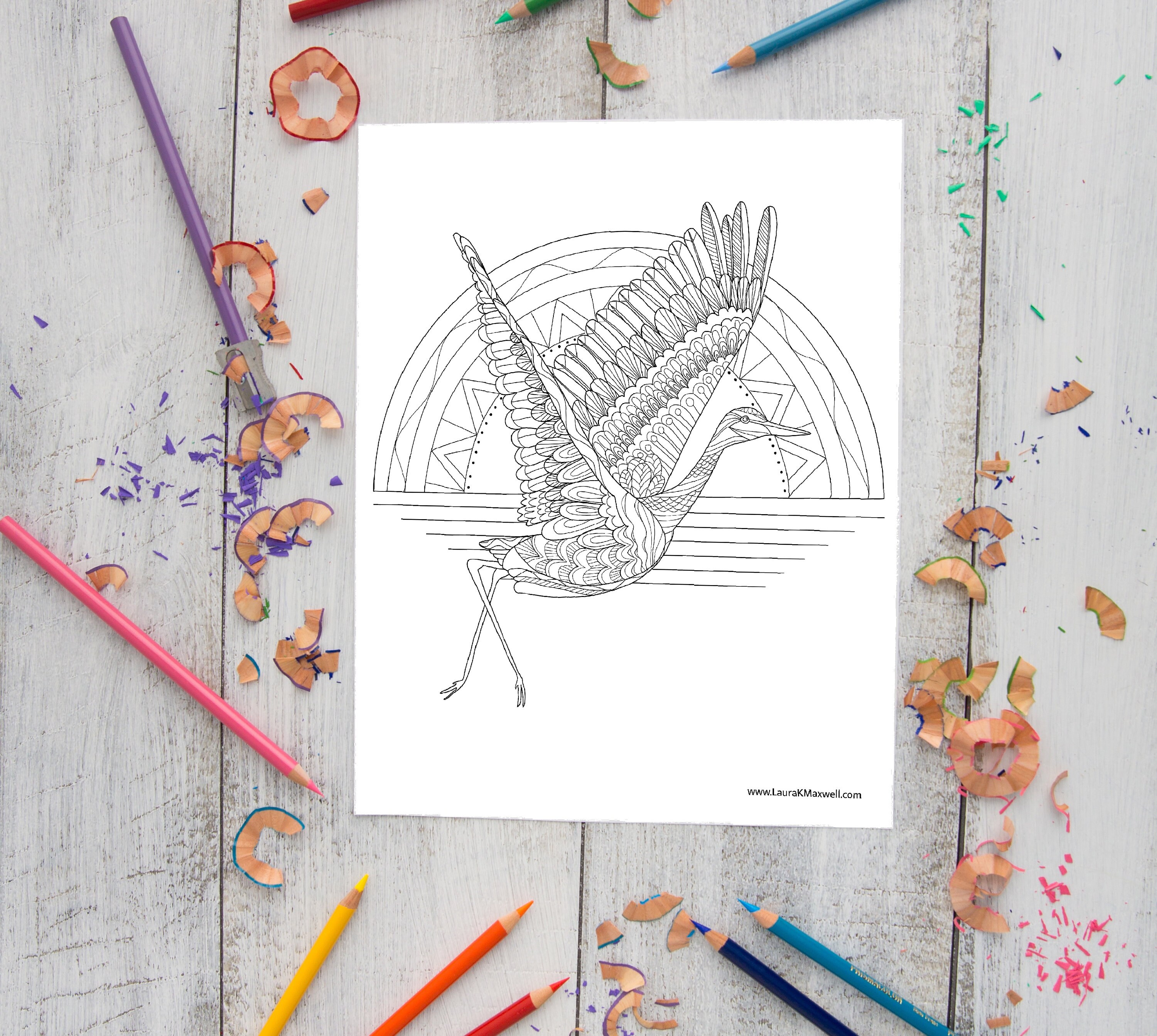 Flying sandhill crane coloring sheet for adults and kids printable coloring page downloadable colouring sheet animal coloring page