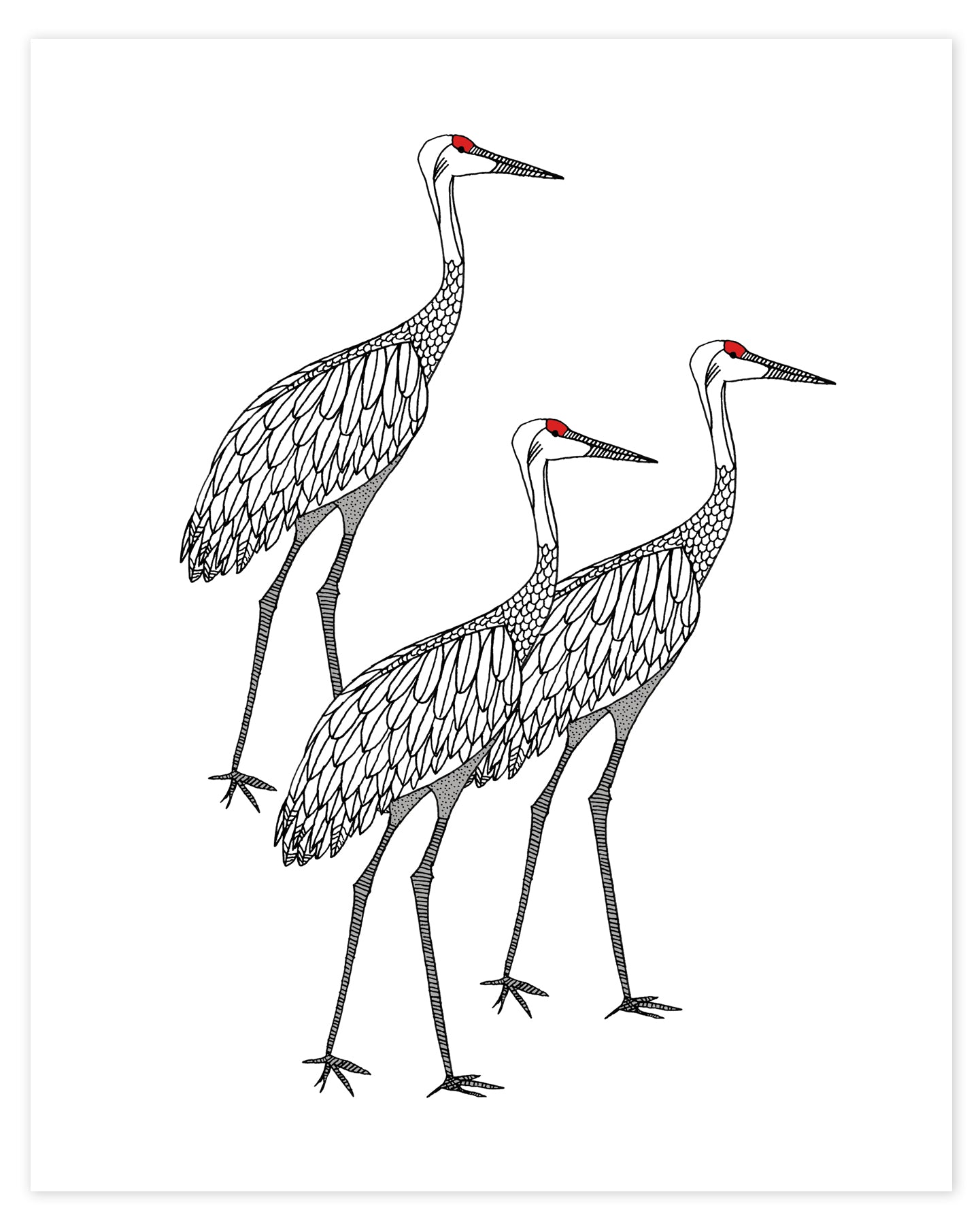 Sandhill cranes print â sloe gin fizz