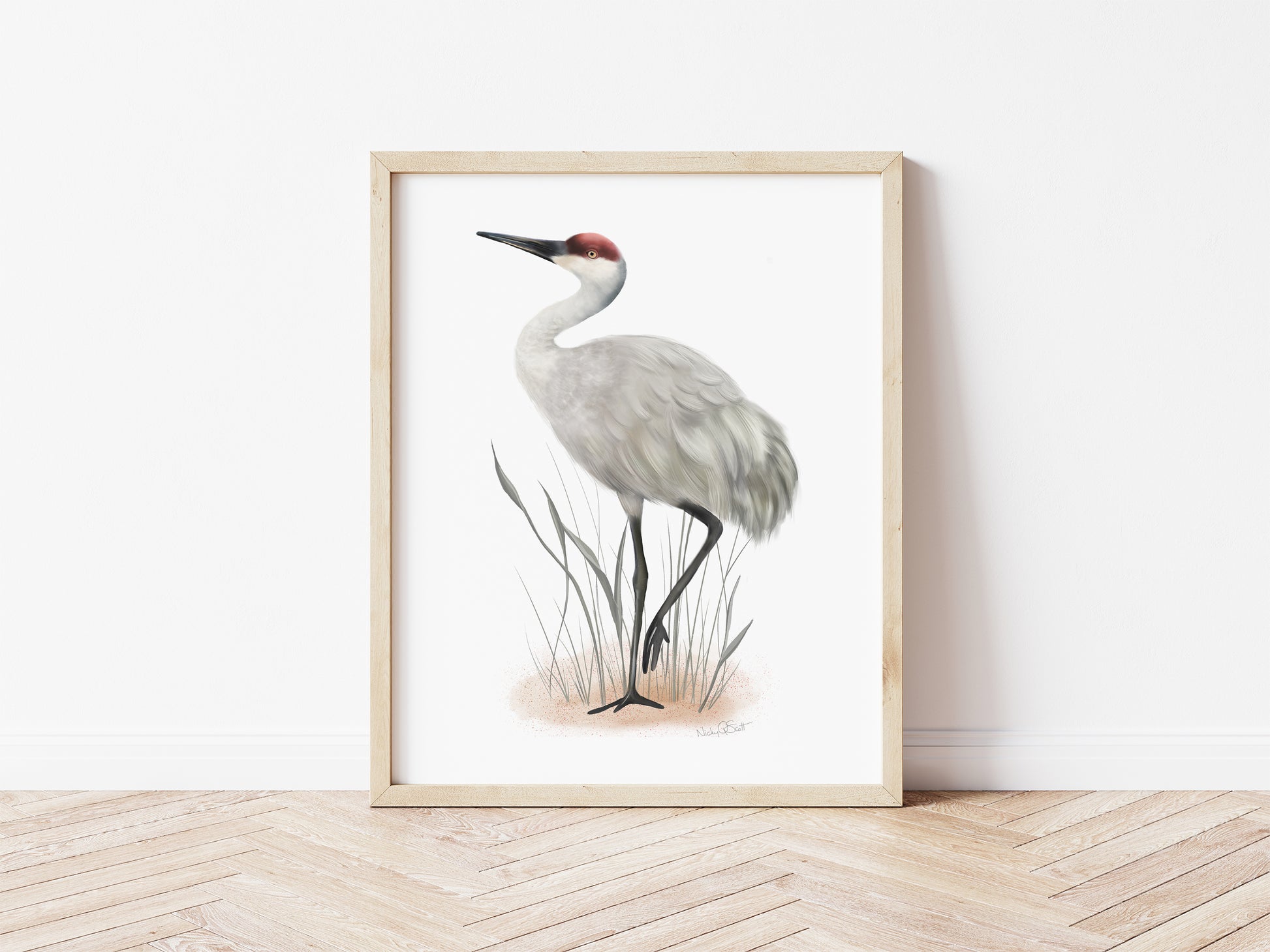 Sandhill crane bird print â studio q