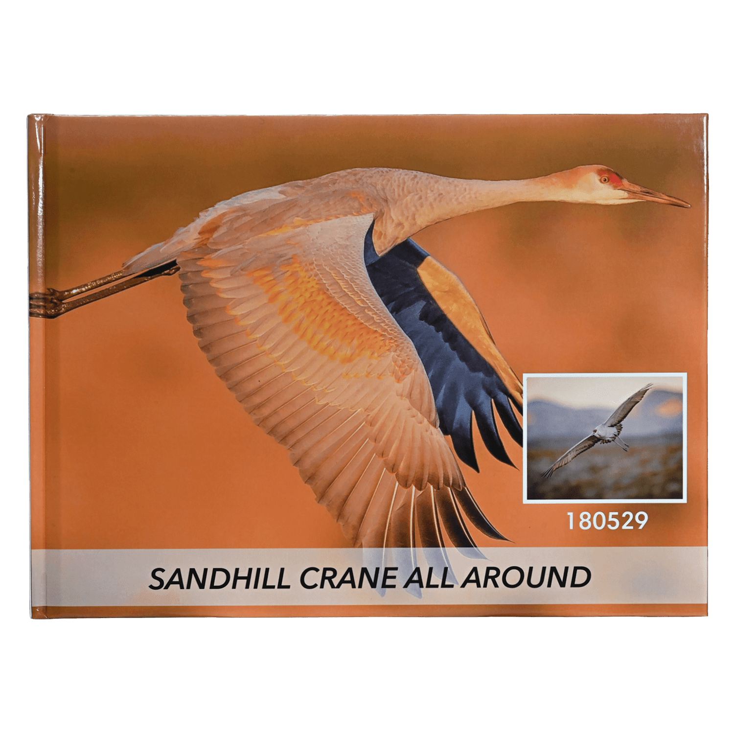 Sandhill crane reference book