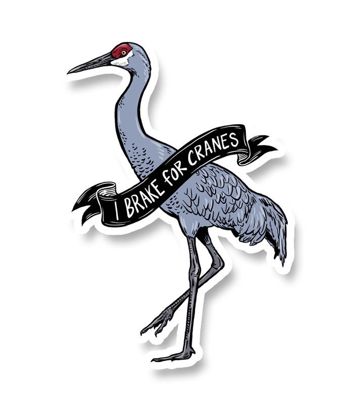 Sandhill crane magnet by freehand goods drawing by veronica steiner