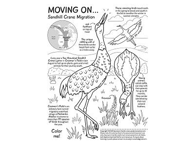 Sandhill crane coloring page by sara lynn cramb on