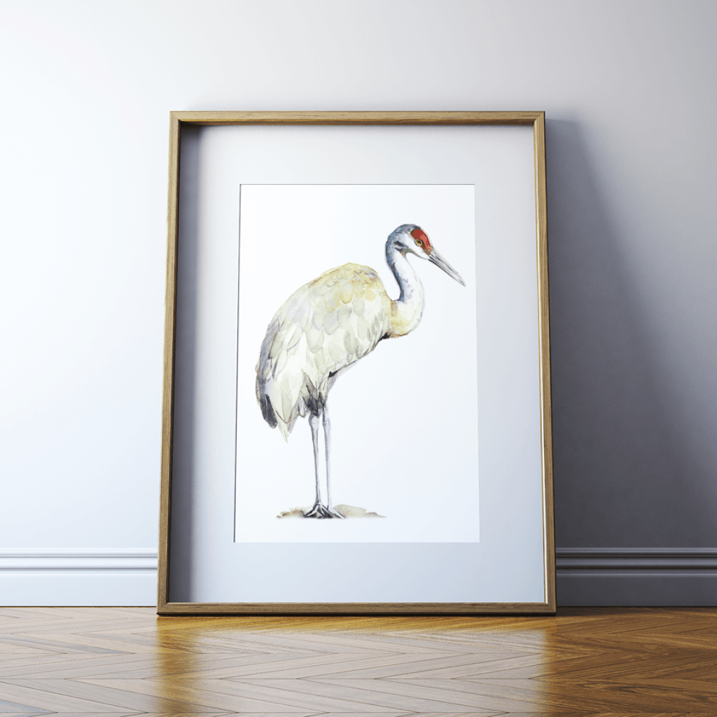 Sandhill crane watercolor print â lyon road art