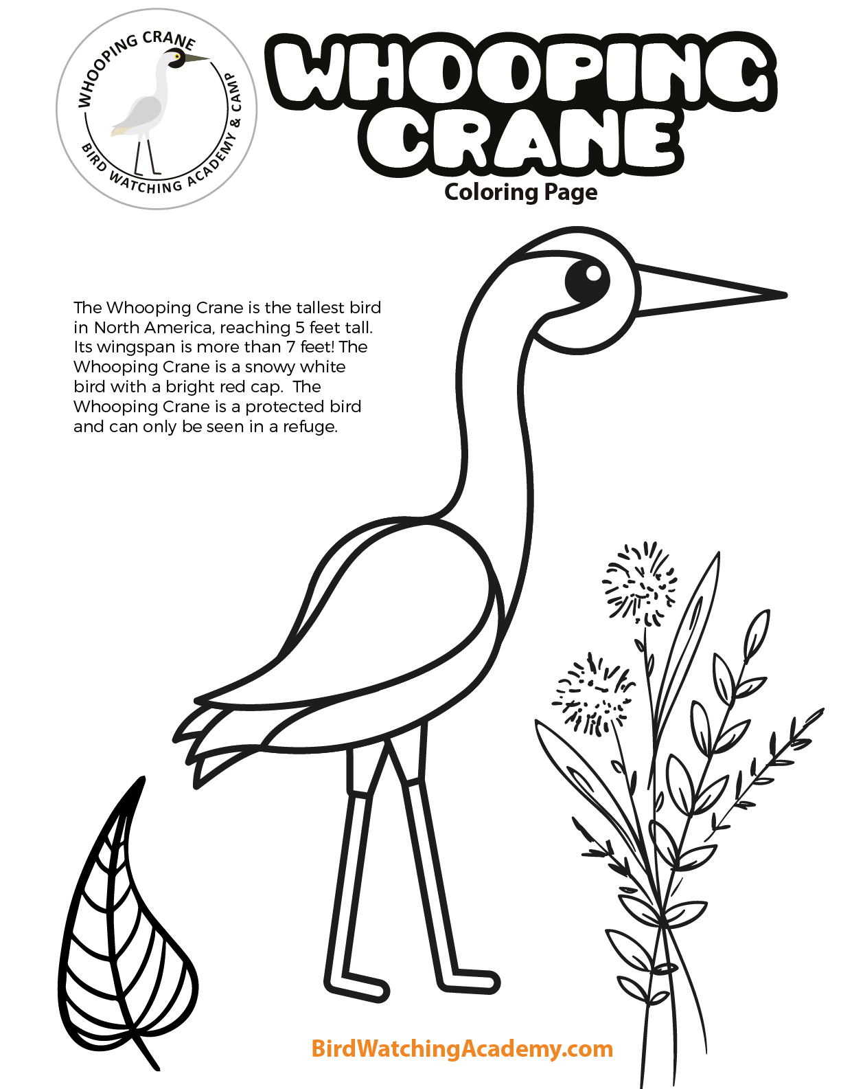 Whooping crane coloring page