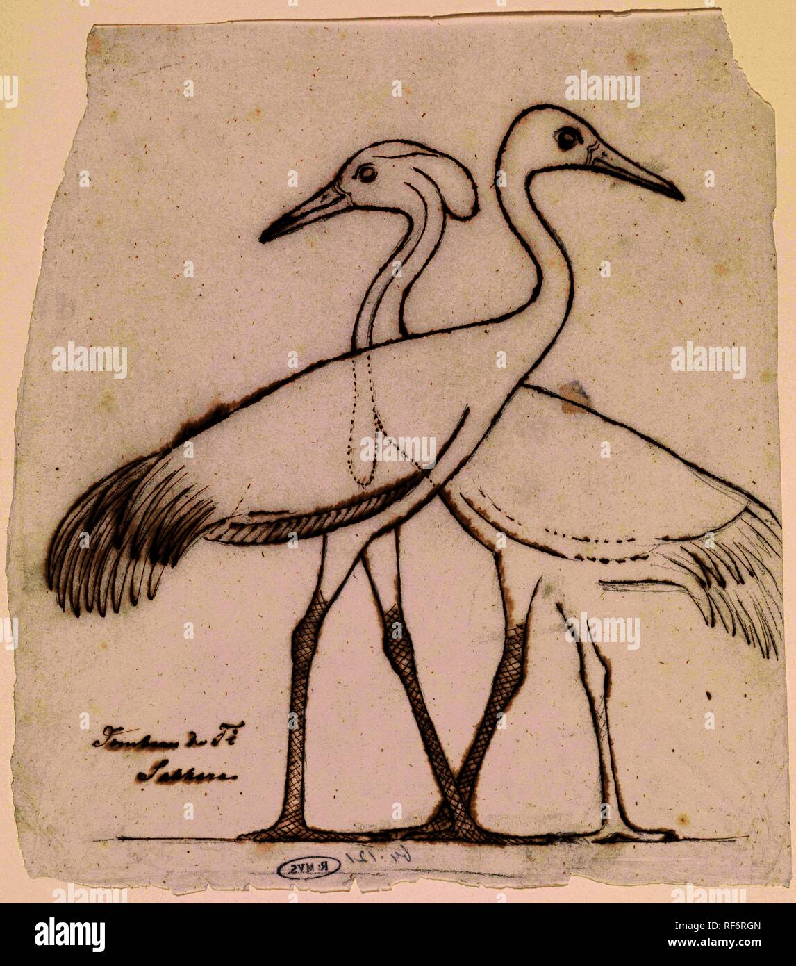 Drawing of cranes hi