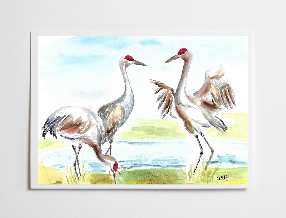 Sandhill crane art print unframed watercolor painting print bird watcher gift