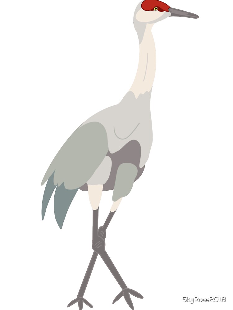 Sandhill crane