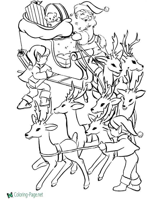 Reindeer coloring pages