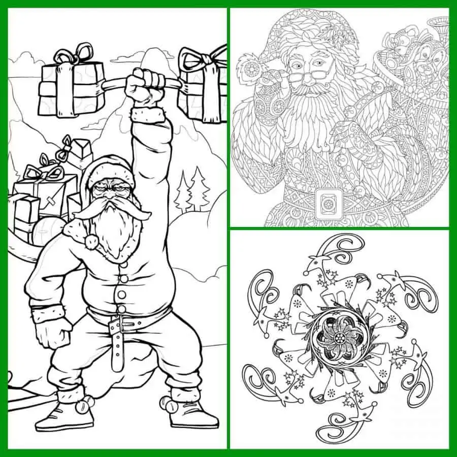 Free adult christmas coloring pages printables artsy pretty plants